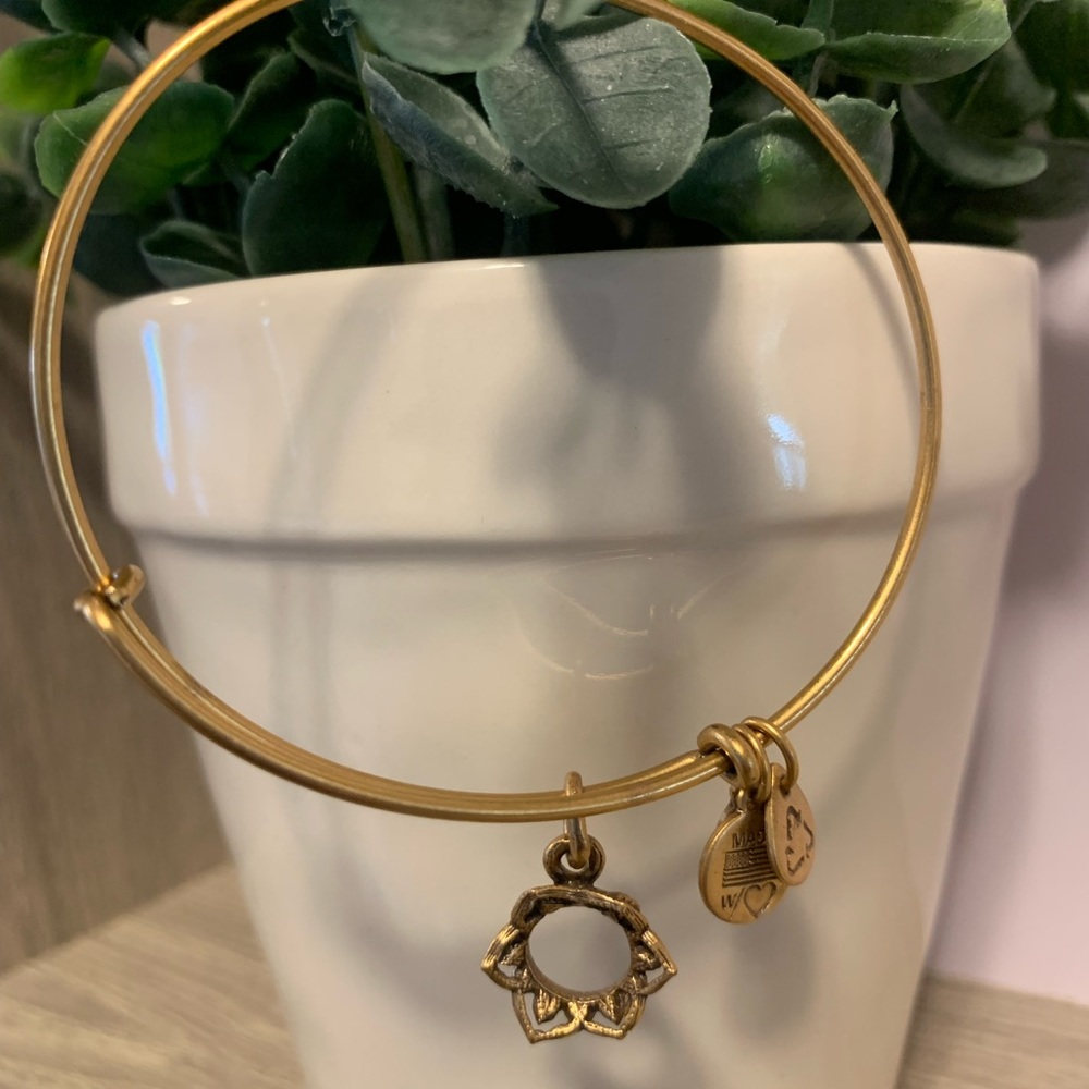Alex & Ani "Queens Crown" Bangle Bracelet In Rafaelian Gold - Picture 4 of 10